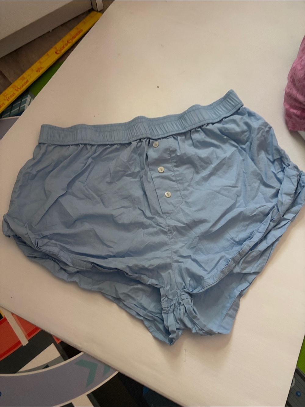 Anthropologie Pale Blue Wren Boxer Shorts
